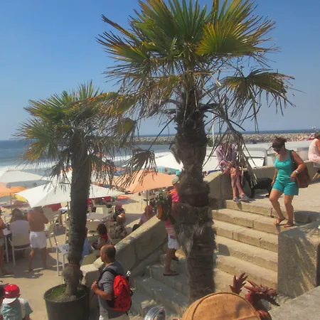 Why Not? בית הארחה