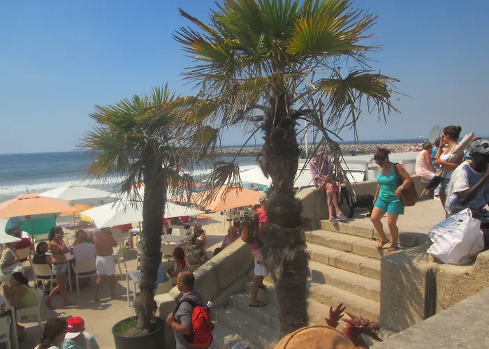 Why Not? בית הארחה